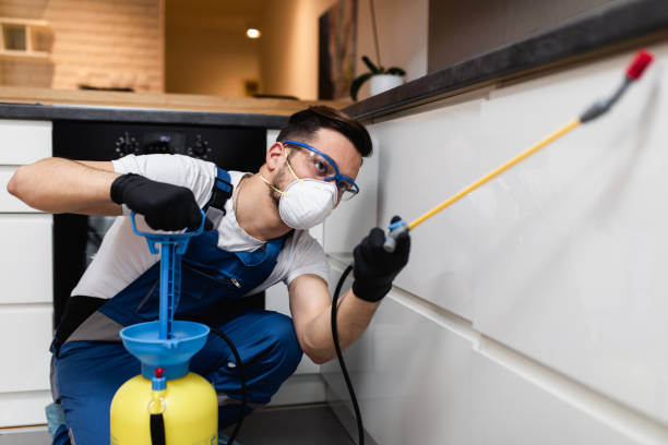 Best Bed Bug Extermination  in Champaign, IL