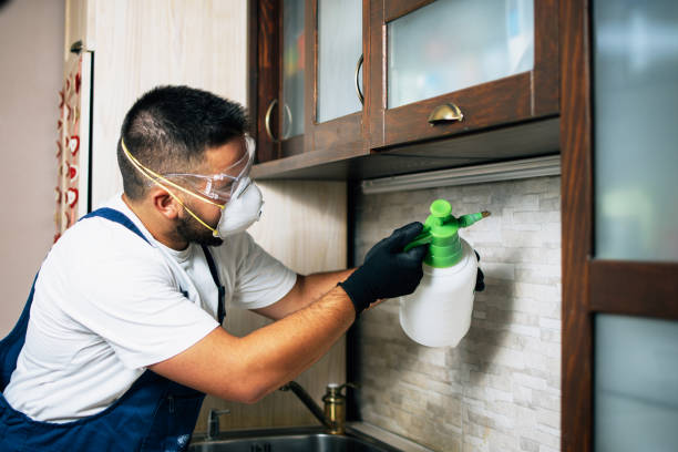 Best Pest Inspection Near Me  in Champaign, IL
