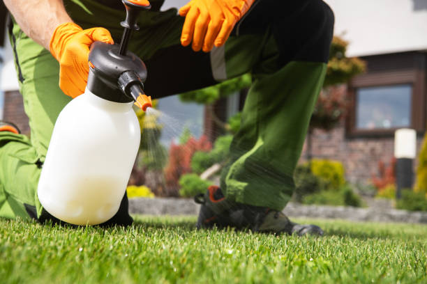 Flea Control Services in Champaign, IL