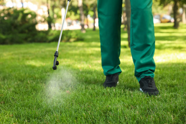 Pest Control for Restaurants in Champaign, IL