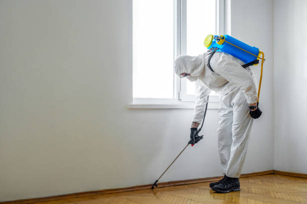 Best Rat Extermination Near Me  in Champaign, IL