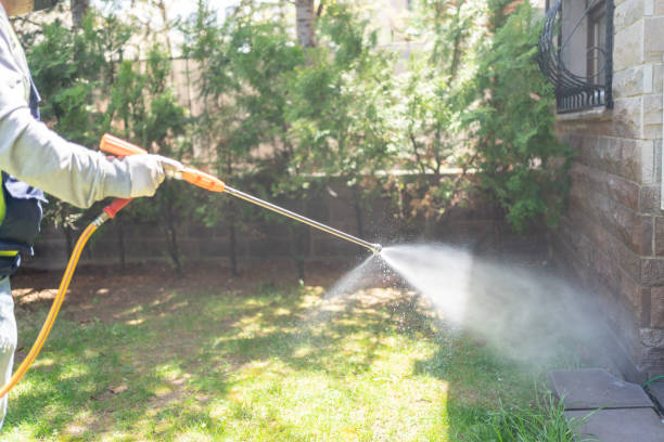 Best Affordable Pest Control Services  in Champaign, IL