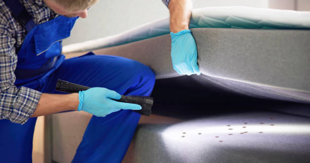 Best Wasp Removal Services  in Champaign, IL