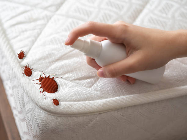 Best Affordable Pest Control Services  in Champaign, IL
