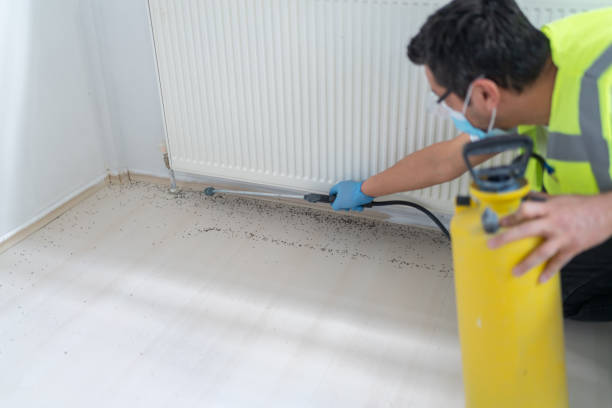 Best Best Pest Control Companies  in Champaign, IL
