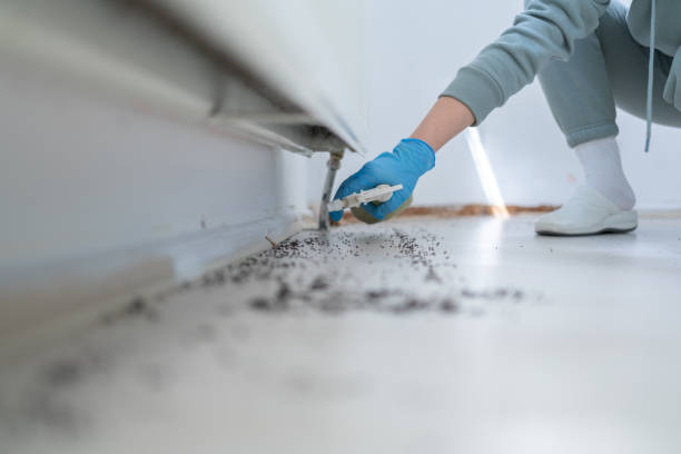 Reliable Champaign, IL Pest Control Solutions