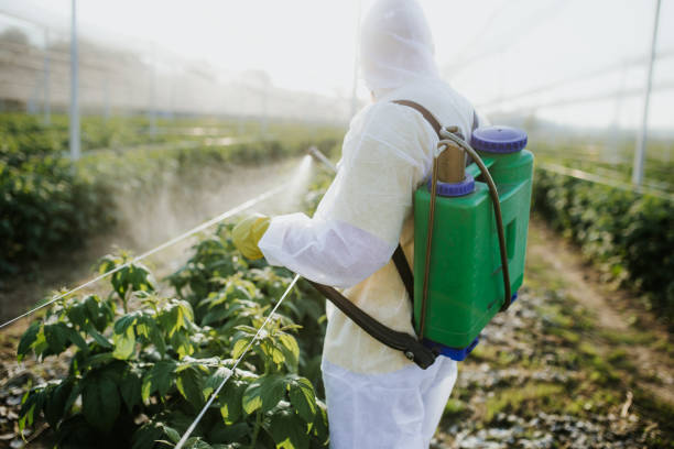 Best Termite Control Services  in Champaign, IL